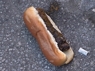 Hot Dog with shit?