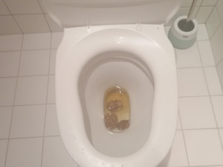 poop from Estonia