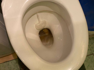 lonely poop