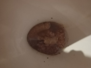 Just shitty turd