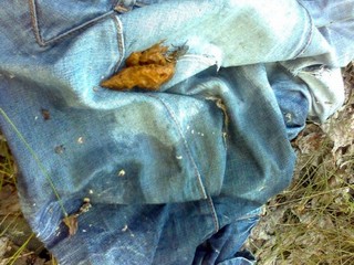 Jeans with poop