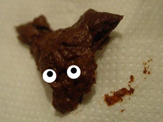 Dog made from poop)