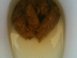 Savory poop in a white toilet