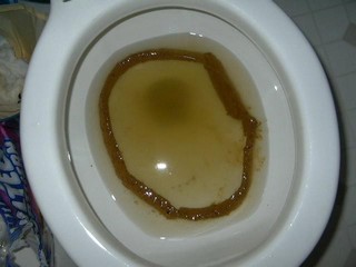 Smooth circle of poop