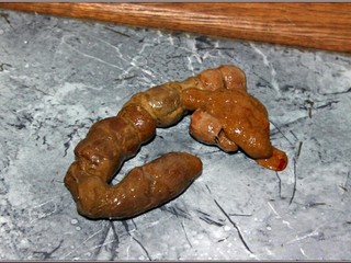 Fatty sausage made from shit with gravy bee..