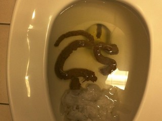 Turd octopus