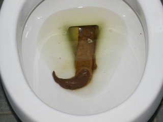 Turd hook))